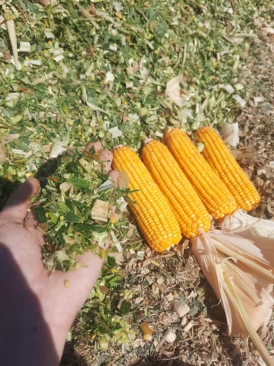 7beefa_34a4ac8e468e49098914656765e5e746_mv2 (1)