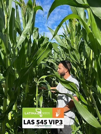 7beefa_b70c32ea91314989b1eb2eb1f4c90f24_mv2