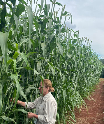 7beefa_2652d97da31a4c9c89be3ca1b779877c~mv2